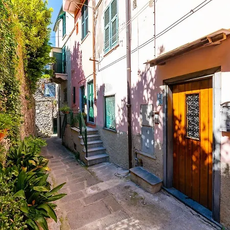 Narcisa Apartamento *